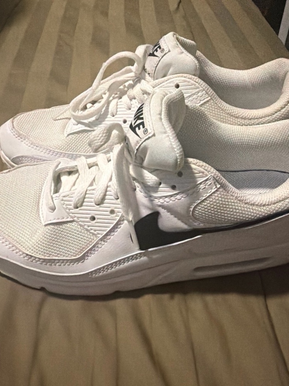 Nike White Low-Top Sneakers with Black Accent